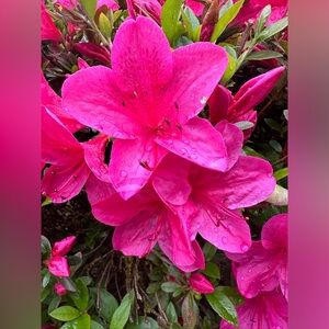 💗 Like 👍🏾 for push notifications about my live shows and new listings!! 💗